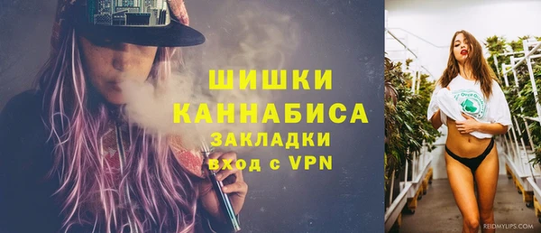тгк Белокуриха
